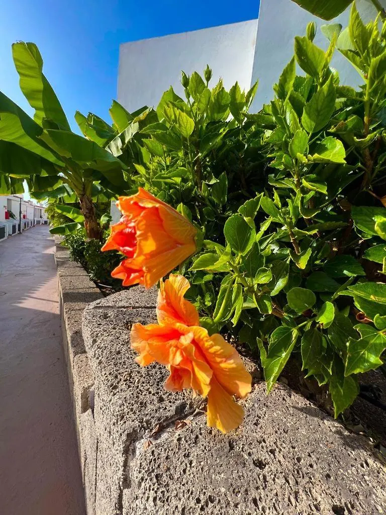 Apartament Malibu Blue Costa Adeje  Apartment