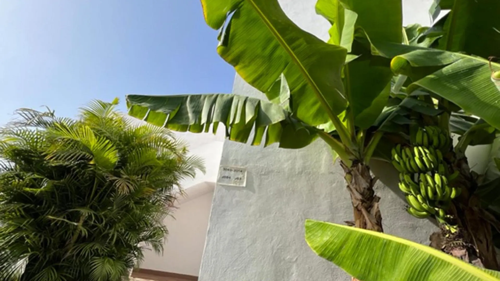 Apartament Malibu Blue Costa Adeje  Spanien